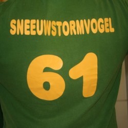 IMG 7493 - Scouts en Gidsen Zaventem 